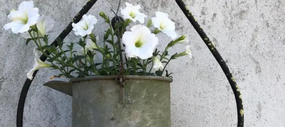 5 غرف نوم منزل في Vic-Fezensac, France رقم 351895 16