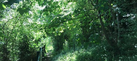 5-salle Maison à Ahrweiler, Germany No. 263681 21