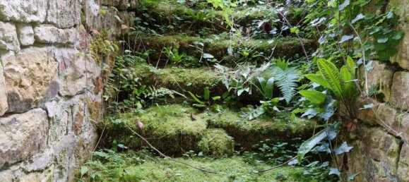 1 chambre Maison à Vicq, France No. 229279 7