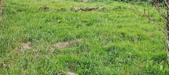 1 chambre Maison à Vicq, France No. 229279 4