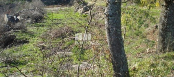 Grundstück in Baiao, Portugal 5100m², Nr. 52223 3