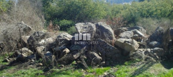 Grundstück in Baiao, Portugal 5100m², Nr. 52223 7