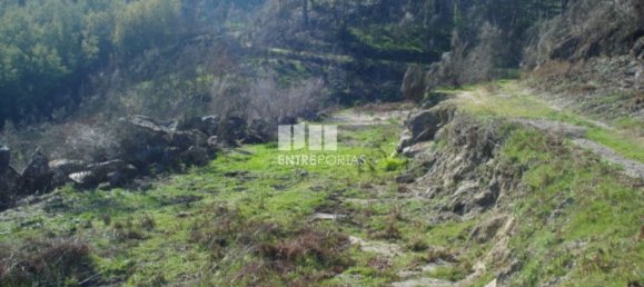 Grundstück in Baiao, Portugal 5100m², Nr. 52223 4