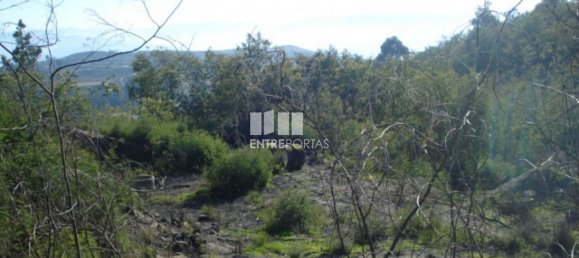 Grundstück in Baiao, Portugal 5100m², Nr. 52223 6