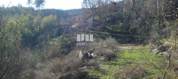 Grundstück in Baiao, Portugal 5100m², Nr. 52223 2