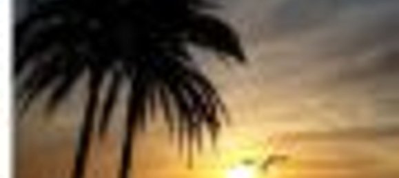 3 bedrooms House in Estepona, Spain No. 186976 19