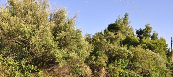  فندق في Chalkidiki, Greece 4000متر مربع رقم 56601 2