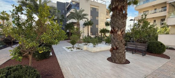 3 chambres appartement à vendre à Los Dolses, Alicante, Valencian Community, Spain № 366112 7