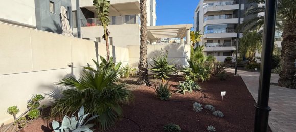3 chambres appartement à vendre à Los Dolses, Alicante, Valencian Community, Spain № 366112 6