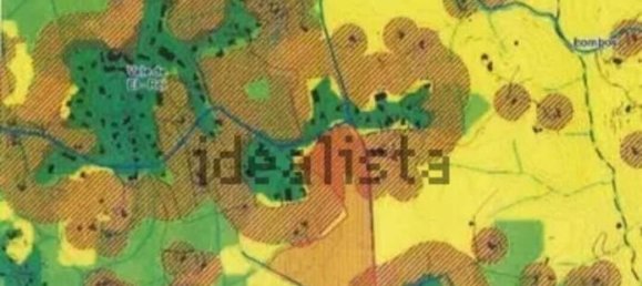 Terreno em Lagoa, Portugal N.º 75555 7