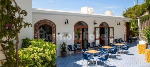 5 rooms Hotel in Barano d'Ischia, Italy No. 74255 5