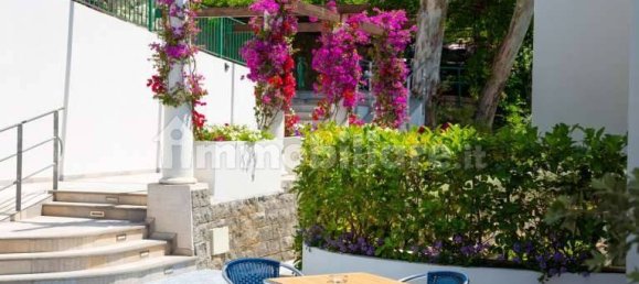 5 rooms Hotel in Barano d'Ischia, Italy No. 74255 3