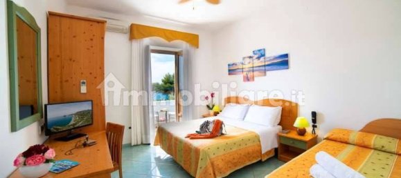 5 rooms Hotel in Barano d'Ischia, Italy No. 74255 20