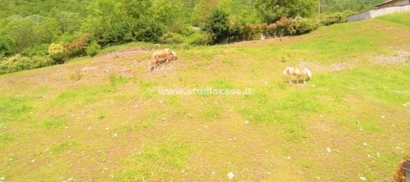 2 rooms Apartment in Parre, Italy No. 114009 23