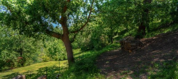 Hotel de 16 dormitorios en Arpino, Italy No. 31221 32