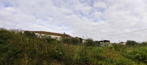 9 bedrooms House in Loures, Portugal No. 168606 4