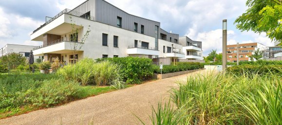 1 bedroom Apartment in Laxou, France No. 252633 13