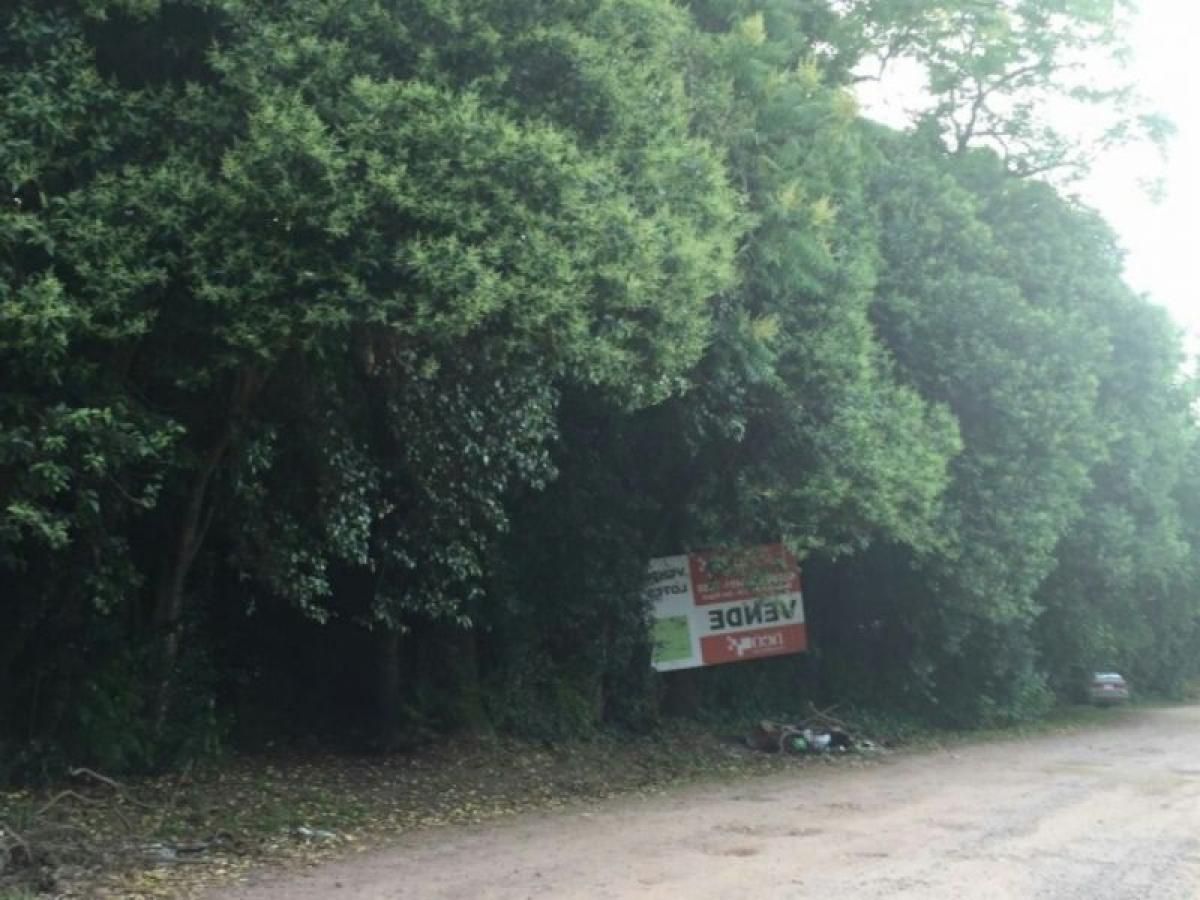 Terreno en San Miguel, Argentina No. 50841