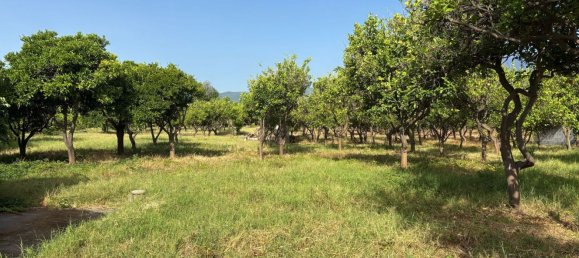 Villa de 4 habitaciónes en Giarre, Italy No. 276966 28