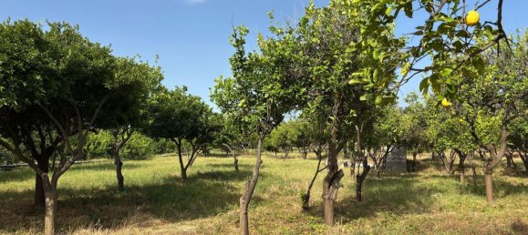 Villa de 4 habitaciónes en Giarre, Italy No. 276966 36