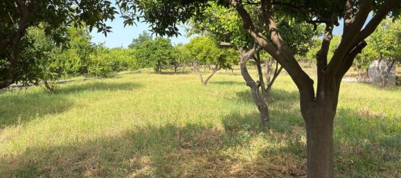 Villa de 4 habitaciónes en Giarre, Italy No. 276966 38