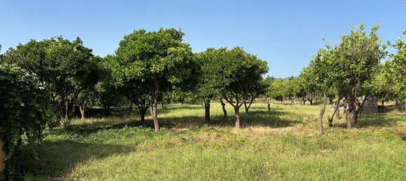 Villa de 4 habitaciónes en Giarre, Italy No. 276966 32