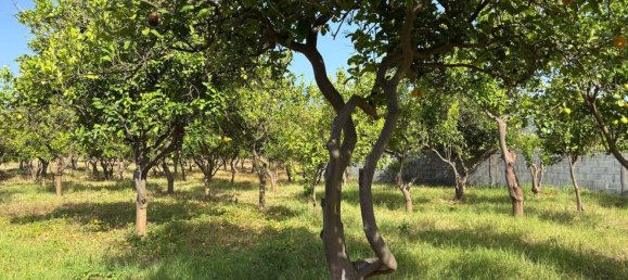 Villa de 4 habitaciónes en Giarre, Italy No. 276966 34