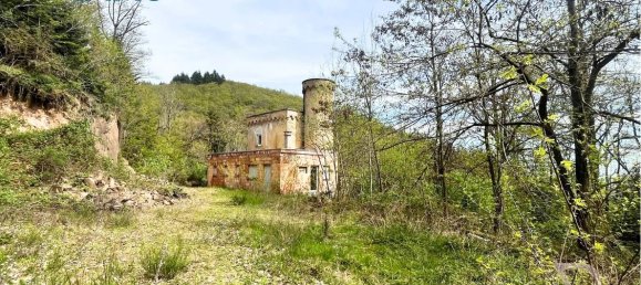 Castillos de 1 dormitorio en Guebwiller, France No. 72836 2