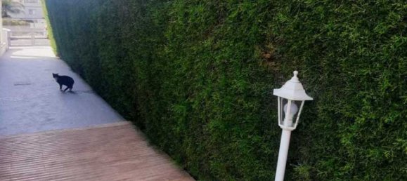 Casa T3 em Agios Athanasios, Cyprus N.º 6827 4