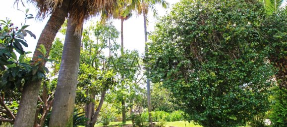 6 chambres Maison à Funchal, Portugal No. 84770 11