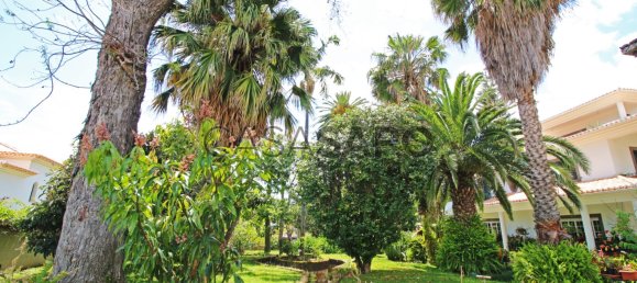 6 chambres Maison à Funchal, Portugal No. 84770 14