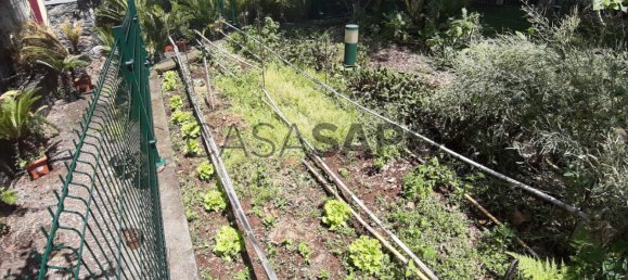 6 chambres Maison à Funchal, Portugal No. 84770 10
