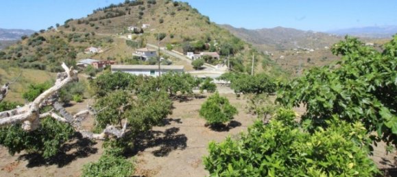 3 Schlafzimmer Villa in Canillas de Aceituno, Spain, Nr. 131267 22