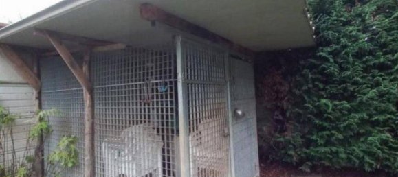 5 Schlafzimmer Villa in Corbetta, Italy, Nr. 279137 33