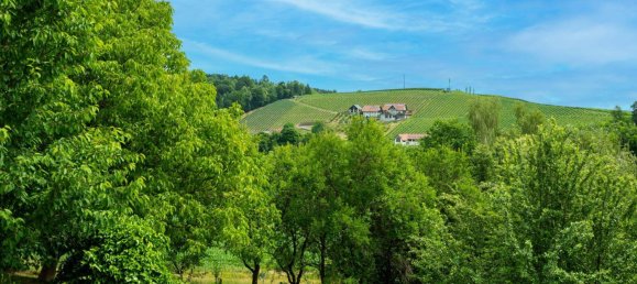 3 bedrooms House in Bad Schwanberg, Austria No. 131727 12