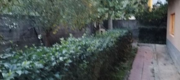 9 rooms Villa in Mineo, Italy No. 33090 20