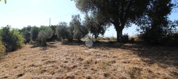 Дом с 1 спальней в Поджо Нативо, Италия № 161239 13