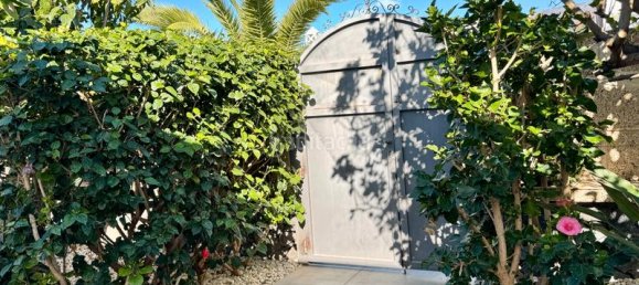 4 bedrooms Villa in Adeje, Spain No. 126321 12