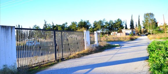 Maisonette-Wohnung in Thermi, Greece 1566m², Nr. 7516 2