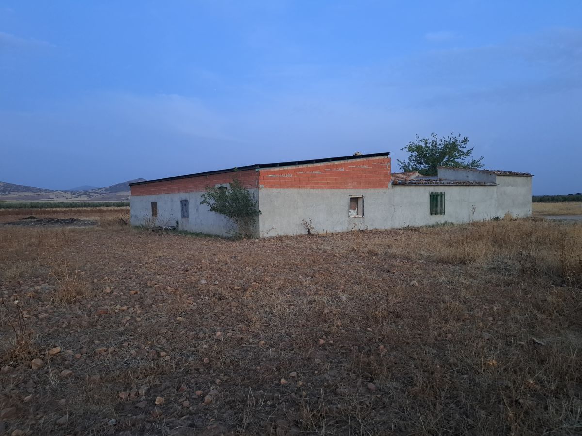 500m² Warehouse in Ciudad Real, Spain No. 142912