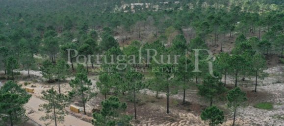 1116m² Land in Grandola, Portugal No. 73573 12