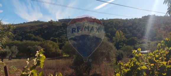 3 Schlafzimmer Haus in Abrantes, Portugal, Nr. 24243 12