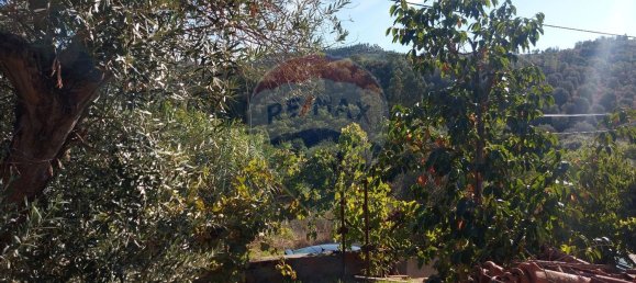 3 Schlafzimmer Haus in Abrantes, Portugal, Nr. 24243 11