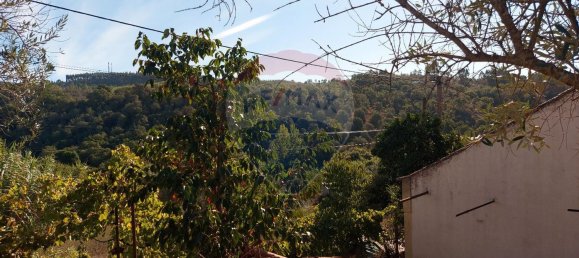 3 Schlafzimmer Haus in Abrantes, Portugal, Nr. 24243 6