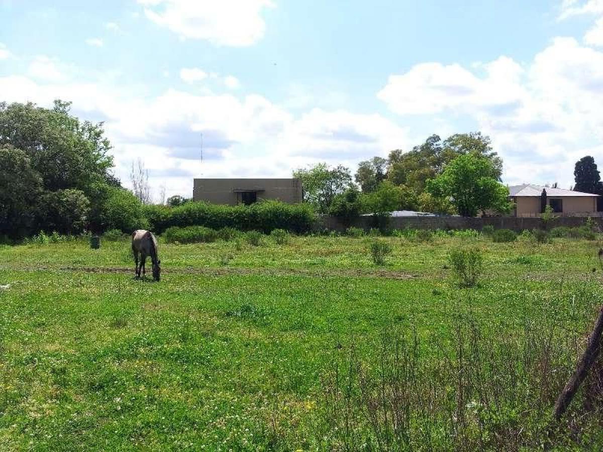  Land in Pilar, Argentina No. 35049