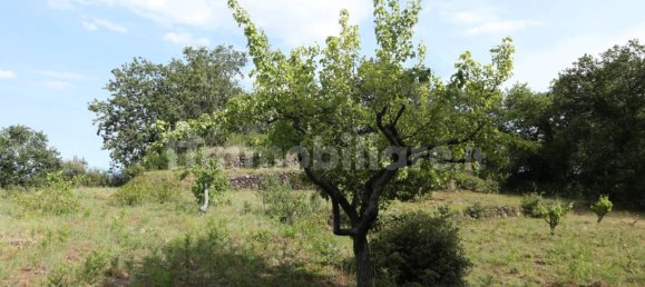 1 Schlafzimmer Haus in Zafferana Etnea, Italy, Nr. 125006 16