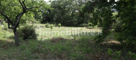 1 Schlafzimmer Haus in Zafferana Etnea, Italy, Nr. 125006 15