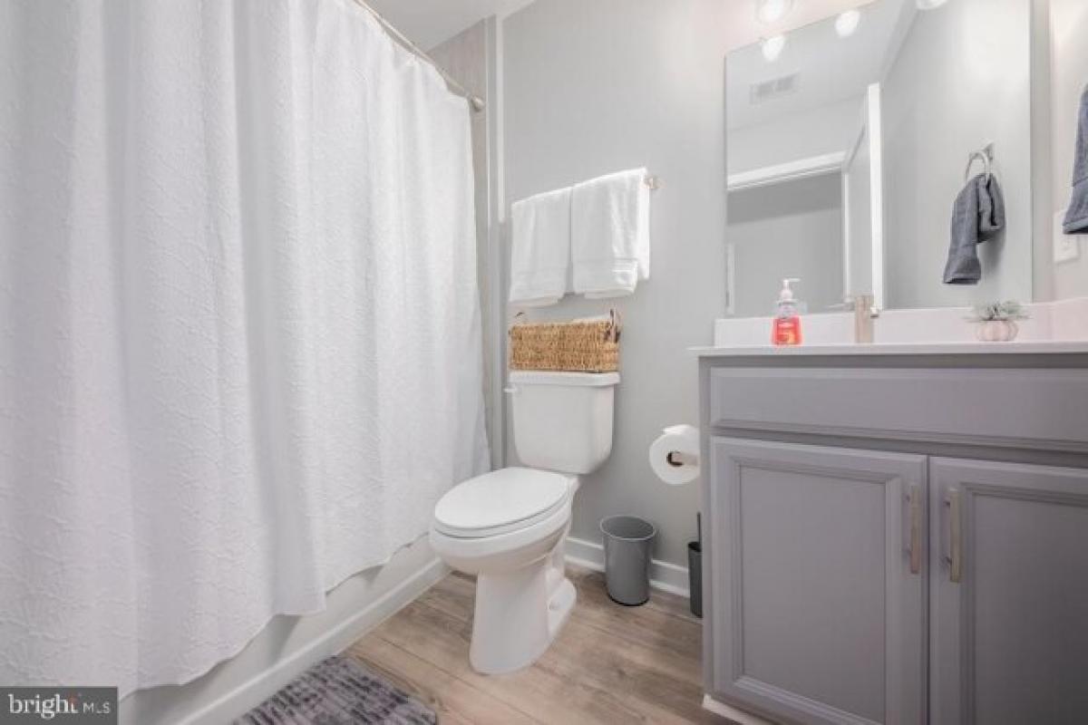 4 bedrooms House in Colonial Beach, USA No. 396175