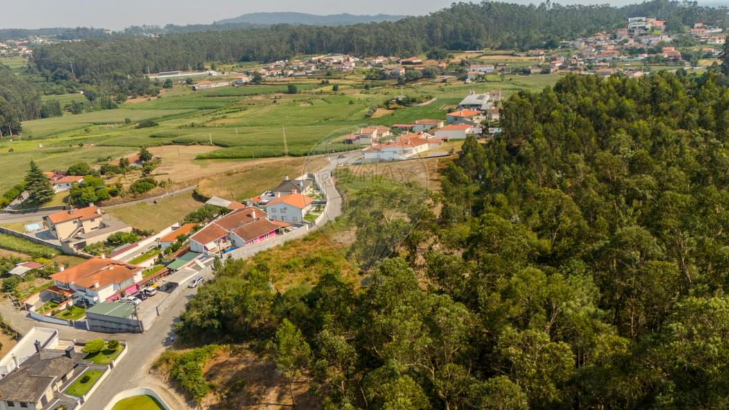 Terrain à Pereira, Portugal No. 300255