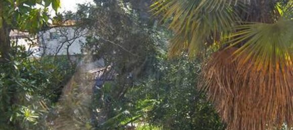 2 bedrooms House in Sinalunga, Italy No. 59278 3